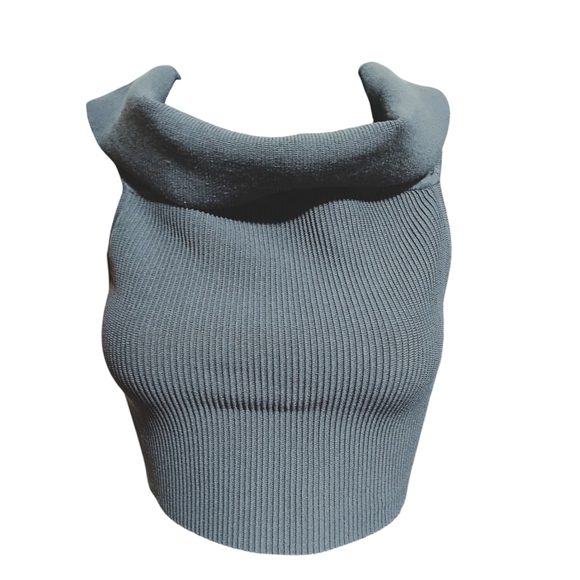 Babaton ARITZIA | Charcoal Off-Shoulder Ribbed Cropped Bodycon Top | Size Small - Picture 9 of 9